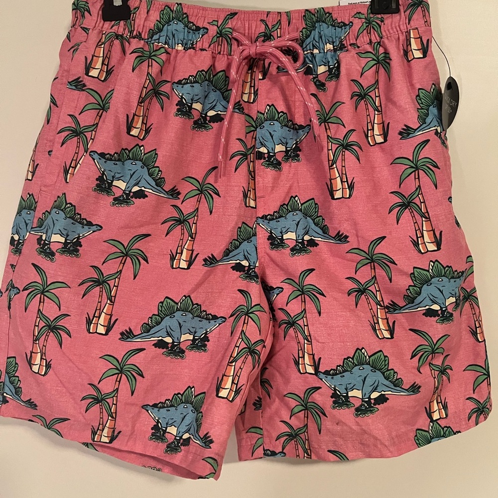 No Boundaries Pink Dinosaur Print Men's Athletic Shorts